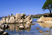 足球直播在线直播观看免费-新大陆的绿茵交响，欧文在美加墨之夜奏响命运变奏曲